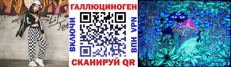 закладка  Лобня  Галлюциногенные грибы Cubensis 